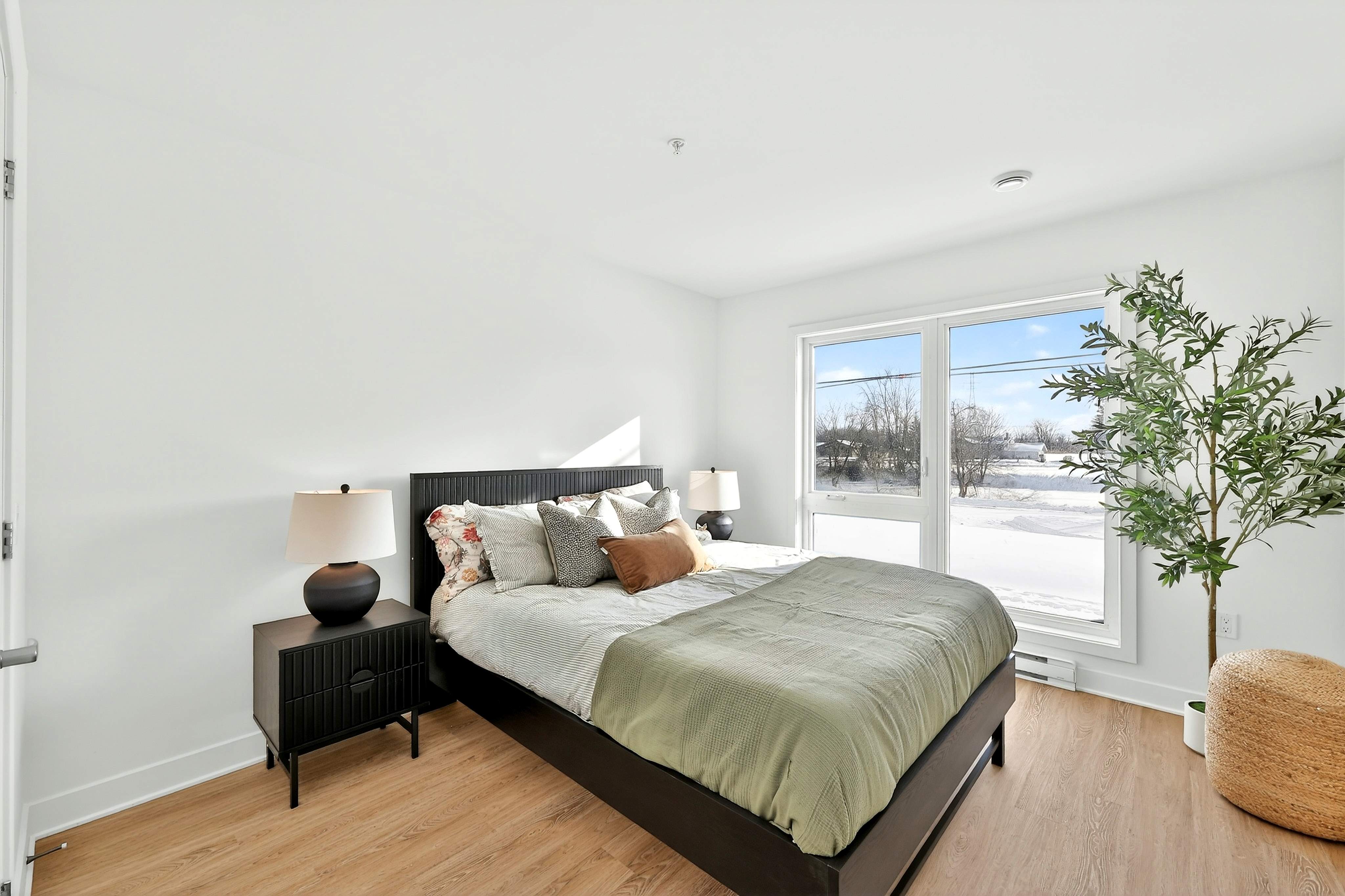 54 Théophile-Brassard — photo 1