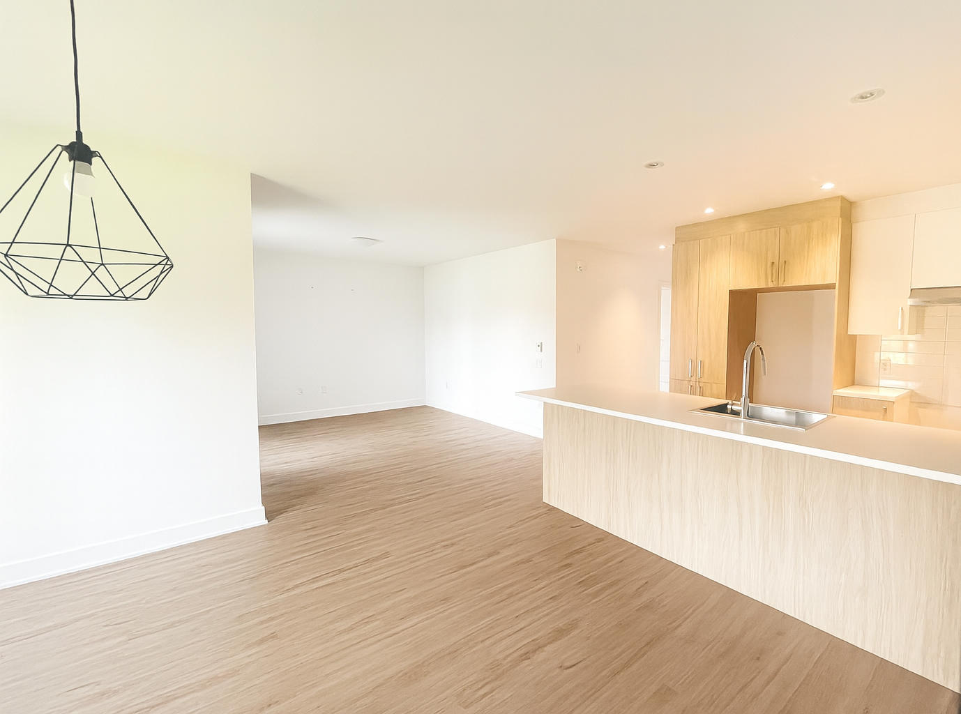 1027 Rue de la Visitation — photo 3